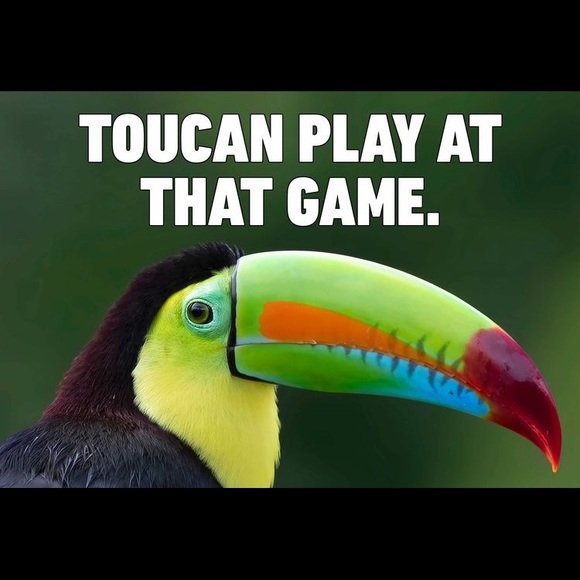 Multi colored glitter Toucan dangle Earrings.These earrings have a Tropical Vibe - Picture 4 of 11